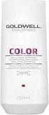Actual product image Goldwell Dualsenses Color Brilliance Shampoo (250 ml, Liquid shampoo)