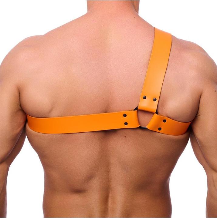 Immagine prodotto The Red Premium Leder-Harness "HALF" (L)