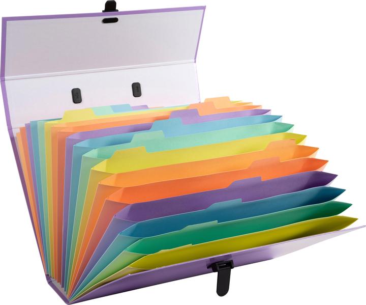 Image du produit Exacompta Trieurs valisette (A4, 1 x)
