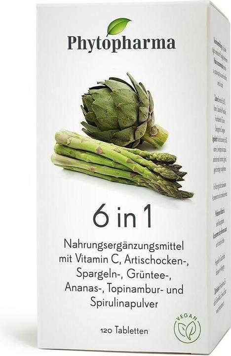 Phytopharma 6 in 1 (1 Stück, Tabletten, 105 g)