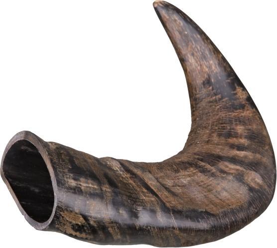 Immagine prodotto Trixie Corno di bufalo naturale da masticare (Adulto, 1 pz., 150 g)