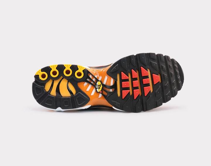 Actual product image Nike Air Max Plus (41)