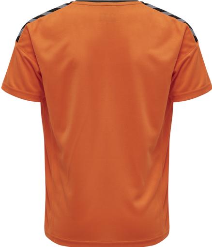Actual product image hummel Authentic Kids Poly Jersey S/S (116)
