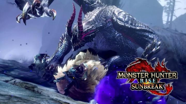 Produktbild Nintendo Monster Hunter Rise + Sunbreak Set (Switch, Multilingual)
