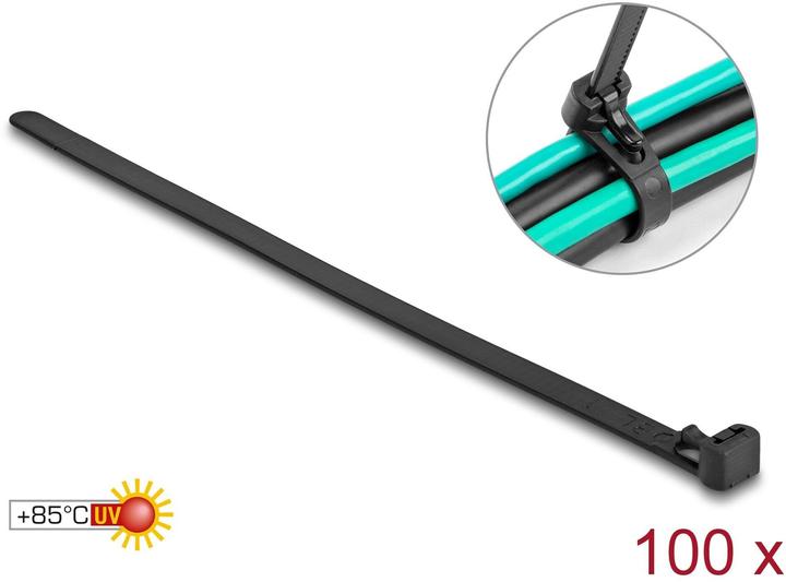 Actual product image Delock Cable tie (Plastic cable ties, 300 mm, 100 pcs.)