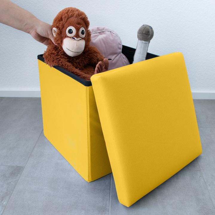 Produktbild Intirilife Faltbarer Sitzhocker mit Stauraum