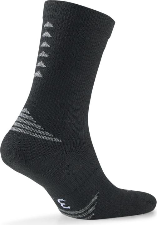 Produktbild Puma Team Indoor SMU Germany Sock (47, 49)