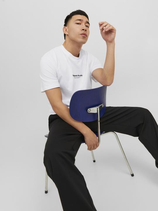 Image du produit Jack & Jones Jorvesterbro Tee Ss Crew Neck Noos (3XL)