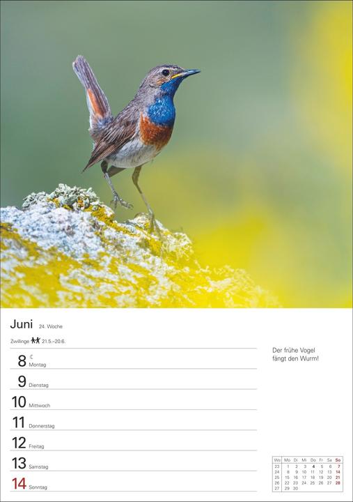 Produktbild Harenberg Auf dem Lande Wochenplaner 2026 - 53 stimmungsvolle Fotografien (Harter Einband, Deutsch)