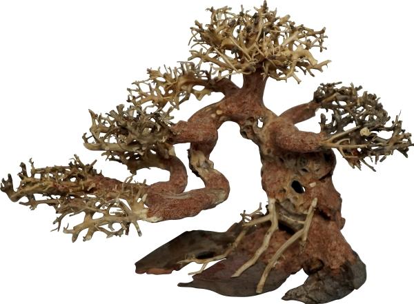 Actual product image 4fish Traerødder, bonsai, 15x8x10 cm (other items)