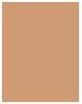 Image du produit Dermacol Couverture longue durée (Bronze)