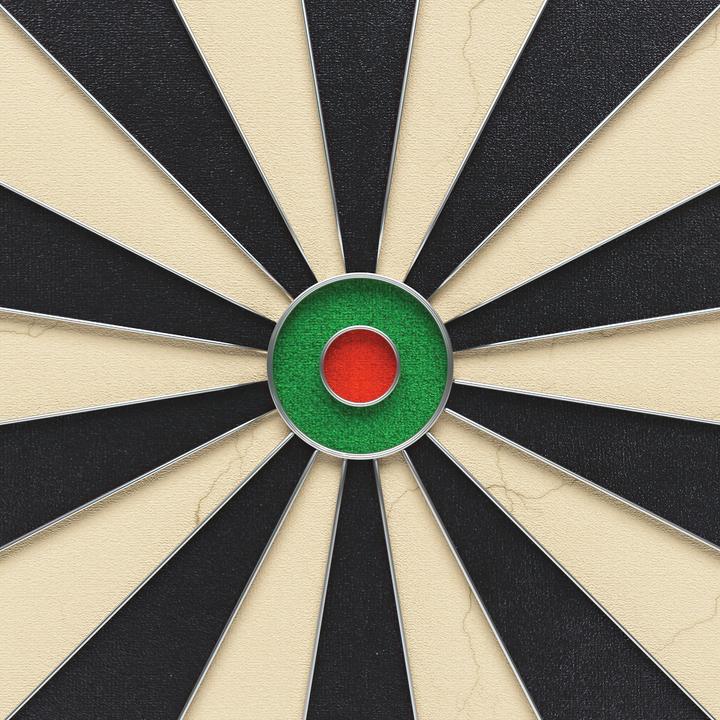 Actual product image Kings Dart Dartboard Professional