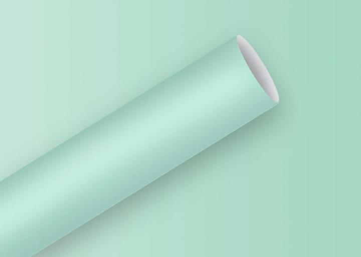 Immagine prodotto Braun + Company Rotolo di carta da imballaggio Misty Mint (Carta da regalo, 1 x)