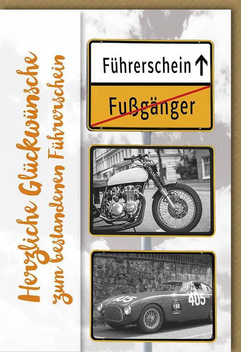 Produktbild Braun + Company Karte Führerschein (1 Stk.)