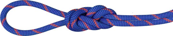 Produktbild Mammut 7.5 Alpine Sender Dry Halbseil (70 m)