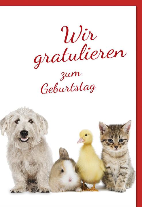 Immagine prodotto Braun + Company Cane, coniglio, oca e gatto (1 pz.)