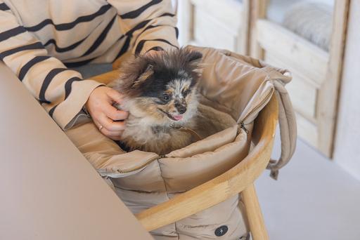 Actual product image Designed by Lotte Tico (Dog, Foldable, Washable)