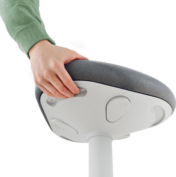 Immagine prodotto Leitz Ergo Active