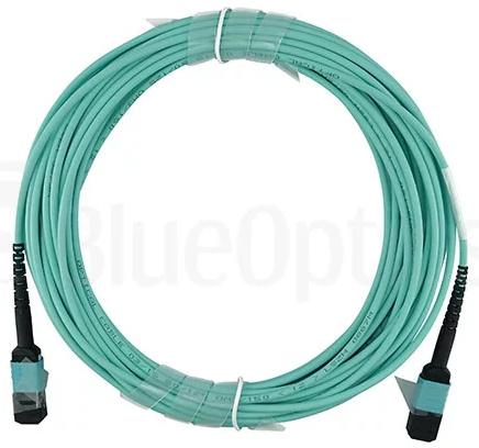 Immagine prodotto BlueOptics Dell EMC CBL-MPO12-OM3-2M cavo patch MPO-MPO multimodale OM3 compatibile 2 metri (2 m)