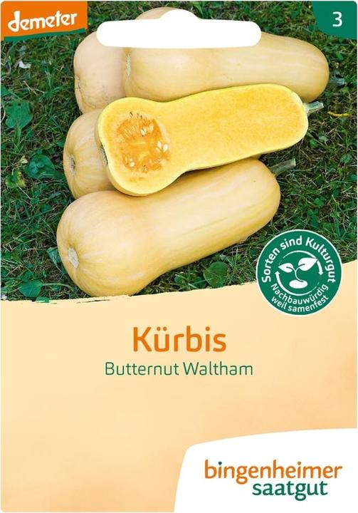 Produktbild Bingenheimer Saatgut Kürbis Butternut Waltham