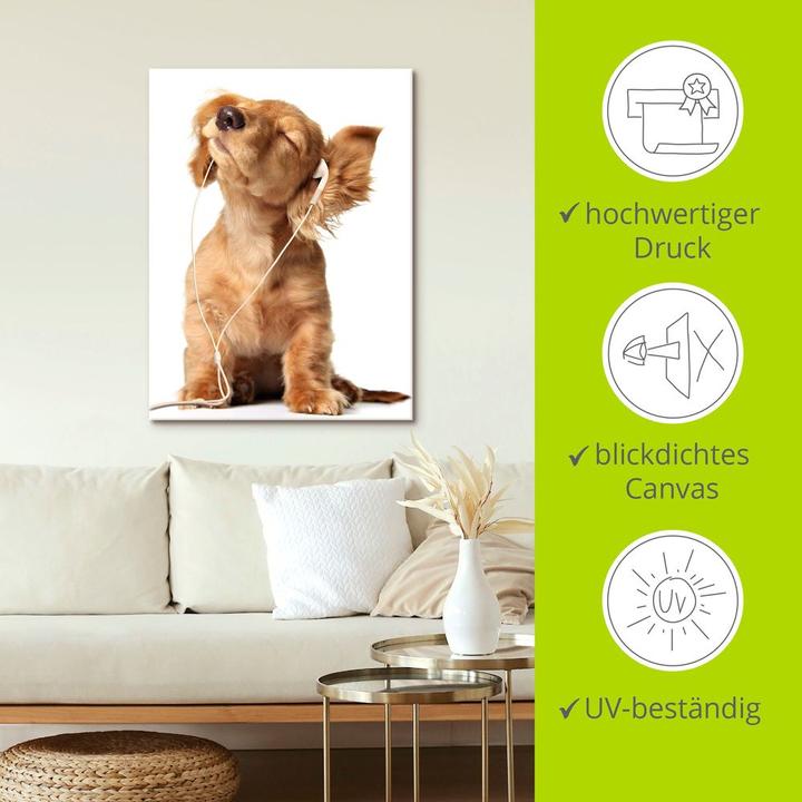 Produktbild Artland Junger Hund hört Musik über Kopfhörer T5QE (60 x 80 cm)