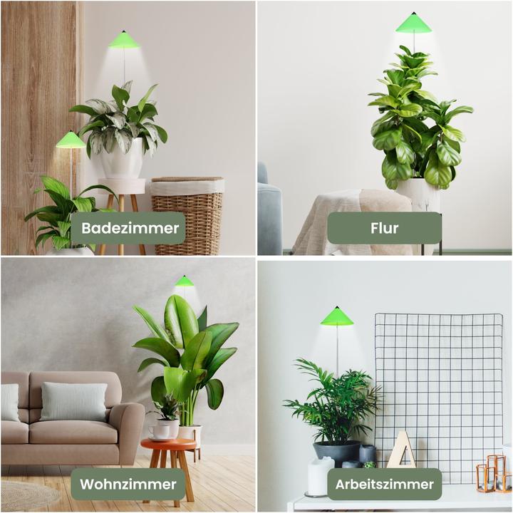Produktbild Colibri Sunlite (LED, 230 V)