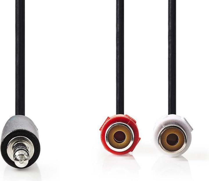 Image du produit Nedis Câble audio stéréo, 3,5 mm, 2X RCA femelles (0.20 m, RCA)