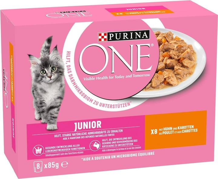 Purina ONE Junior (Junior, 8 pz., 700 g)