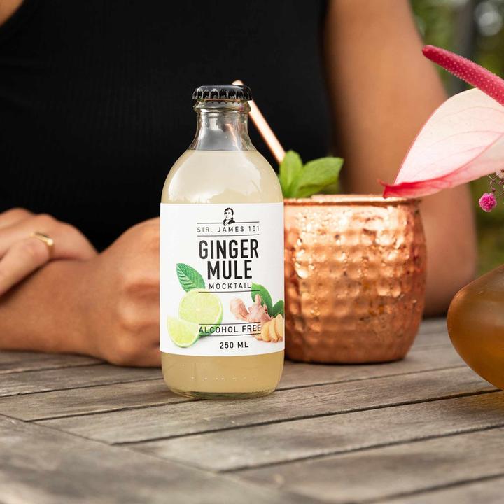 Actual product image Sir. James 101 Ginger Mule without alcohol (1 x 25 cl)