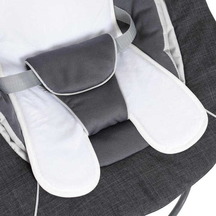 Actual product image Hauck Alpha Bouncer Deluxe