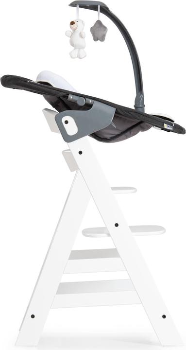 Actual product image Hauck Alpha Bouncer Deluxe