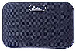 Belcat Mini amplificateur GN-8D (Guitare, 8 W)