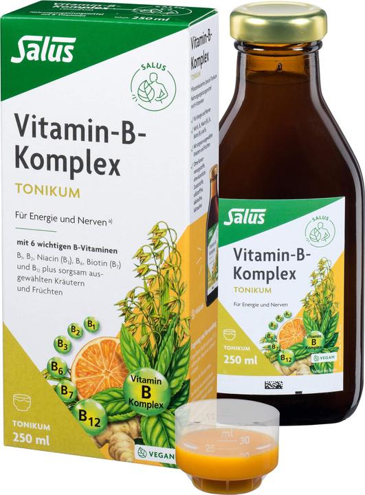 Actual product image Salus Vitamin-B-Komplex (1 Piece, Liquid, 601 g)