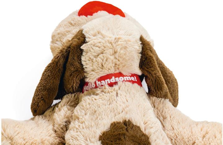 Actual product image Beeztees Joep (Plush toy dog)