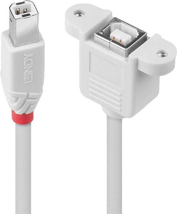 Produktbild Lindy Verlängerungskabel (0.50 m, USB 2.0)