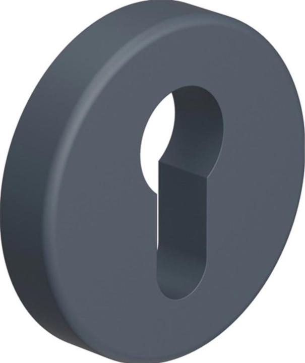 Productafbeelding Hewi Sleutel wapenschild 306.23PBKN 92 Kunststof 92 Sleutelschild dikte 10.5 mm BB rond (Deurgreep)