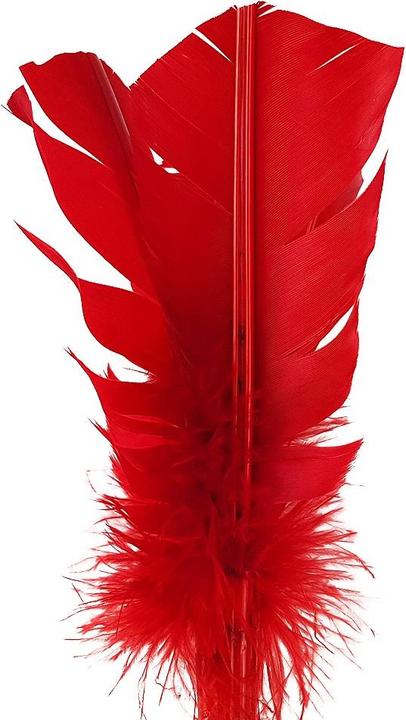 Actual product image Tunturi Indiaca Tournament