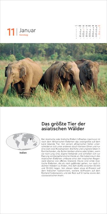 Produktbild Rekorde der Welt - 365-Tage-Abreisskalender 2026 (Deutsch)