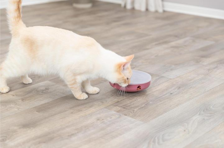 Actual product image Trixie Cat Activity Rocking Maze