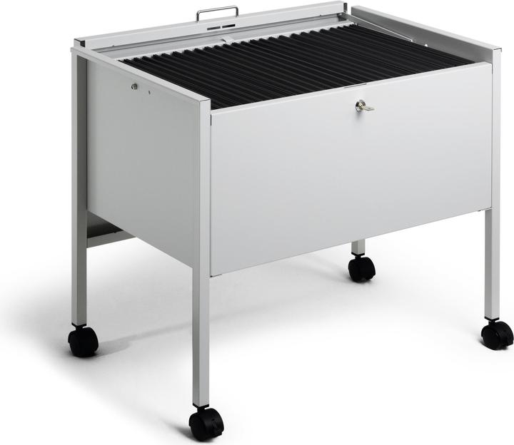 Immagine prodotto Durable CARRELLO A SOSPENSIONE ECONOMY 80 A4 TOP 1 PC 309810
