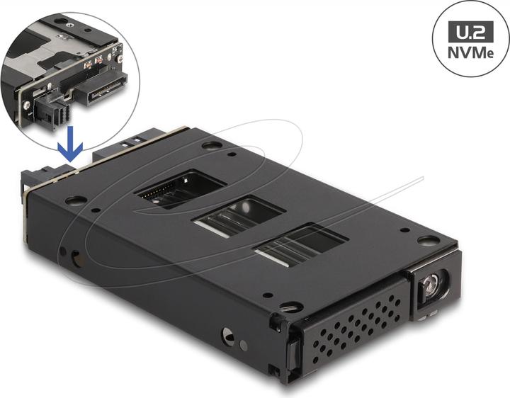 Delock Slim Bay Wechselrahmen für 1 x 2.5? U.2 NVMe SSD