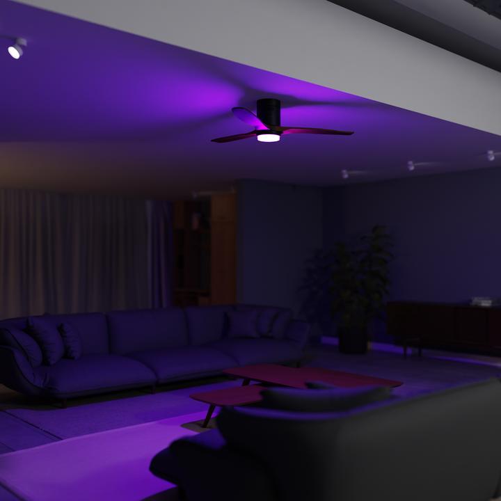 Actual product image Hombli Deckenventilator mit Licht (43 dB)