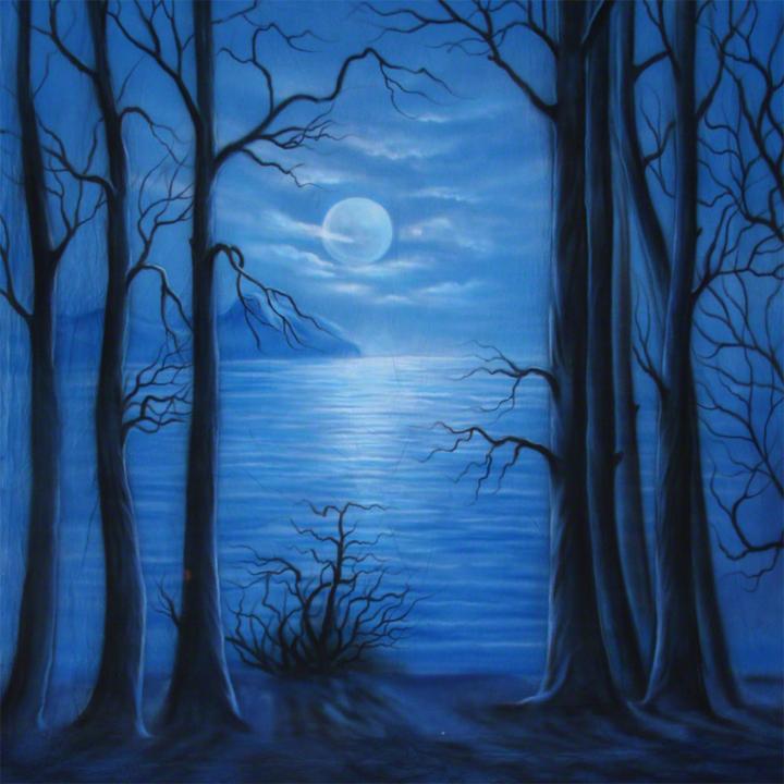 Image du produit Walimex pro Par fond de tissu 'Moonlight (600 cm)