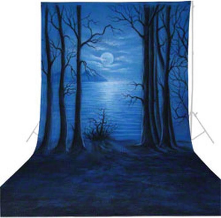 Image du produit Walimex pro Par fond de tissu 'Moonlight (600 cm)