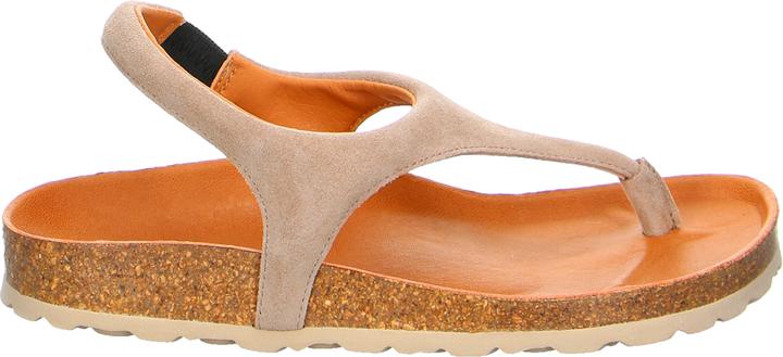 Actual product image Verbenas REAGAN Piedra (38)