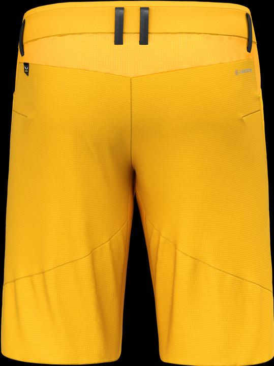 Actual product image Salewa Agner DST Shorts (54)