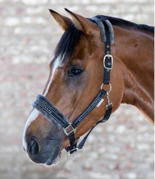 Immagine prodotto Waldhausen Halter elegante