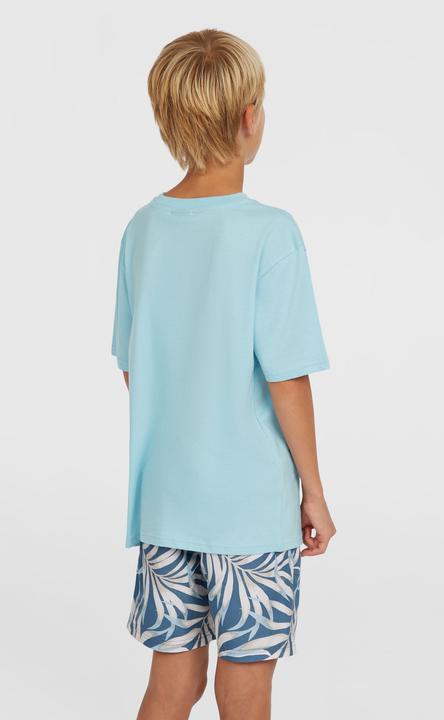 Immagine prodotto O'Neill CALI 14" SWIMSHORTS (104)