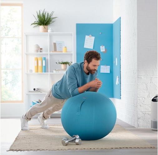 Image du produit Leitz Ballon-siège Ergo Cosy Active (65 cm)
