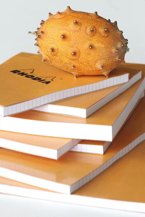 Image du produit Rhodia Bases (A5, Blanc)